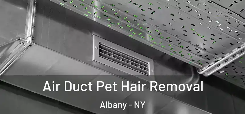  Air Duct Pet Hair Removal Albany - NY