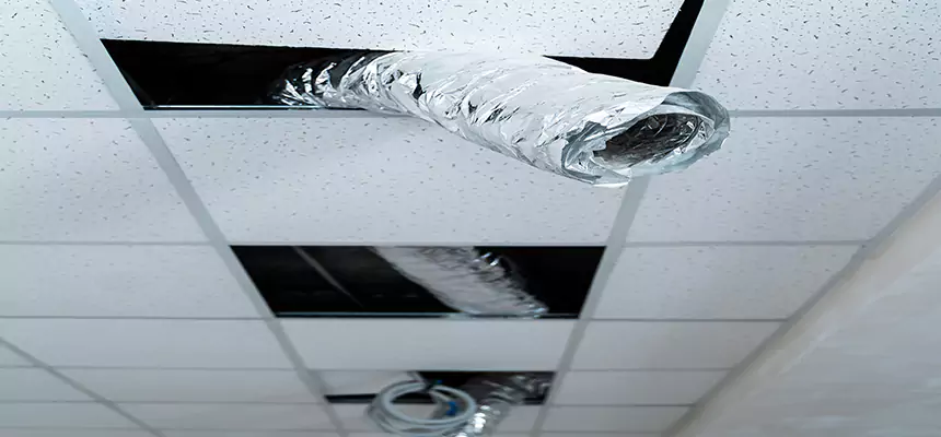 Our Air Duct Pet Hair Removal Services in Albany, NY