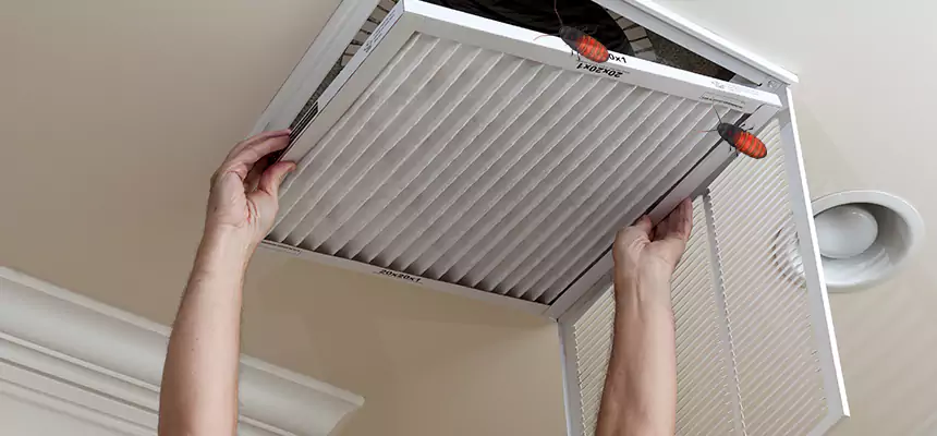 Our Insect Removal from Air Ducts Services in Albany, NY