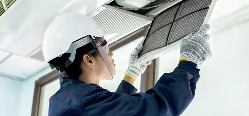 Our Mold & Mildew Removal from Air Ducts Services in Albany, NY