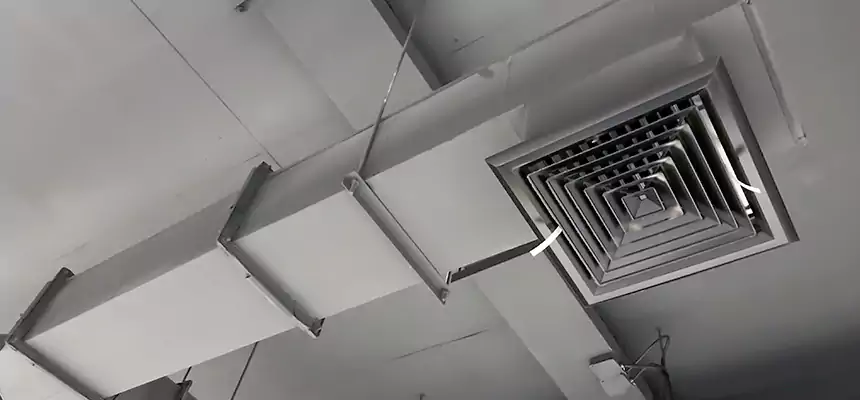 Our Rodent Droppings In Vents Services in Albany, NY