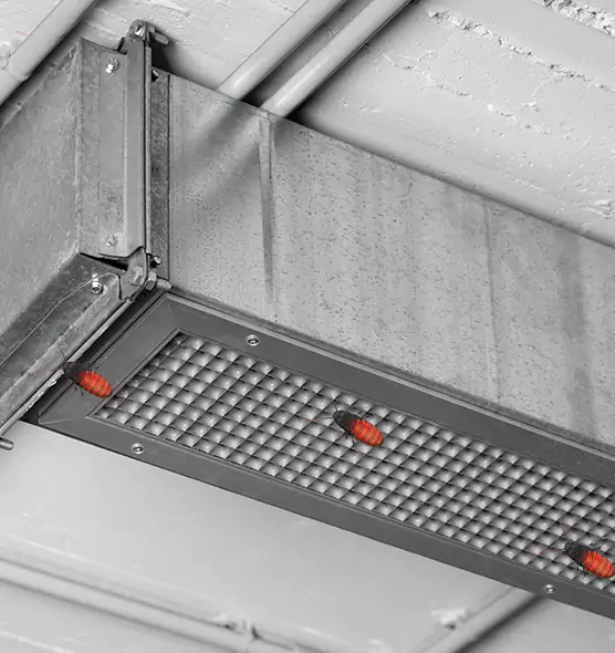 About Air Duct Cockroach Removal in Albany, NY