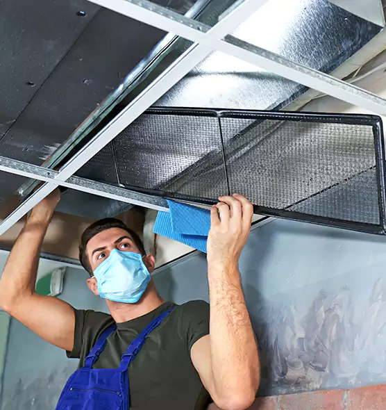 Professional Air Duct Pollen Cleaning in Albany, NY
