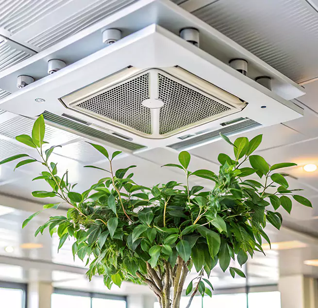 Why Homeowners & Businesses Trust Us in Albany, NY?