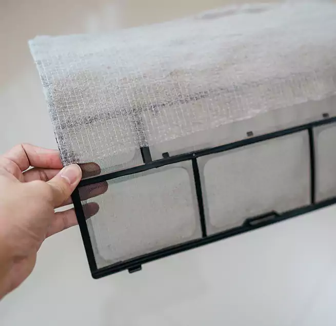 Why Homeowners & Businesses Trust Us in Albany, NY?