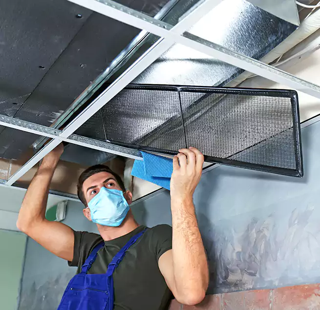 Why Homeowners Businesses Trust Us in Albany, NY